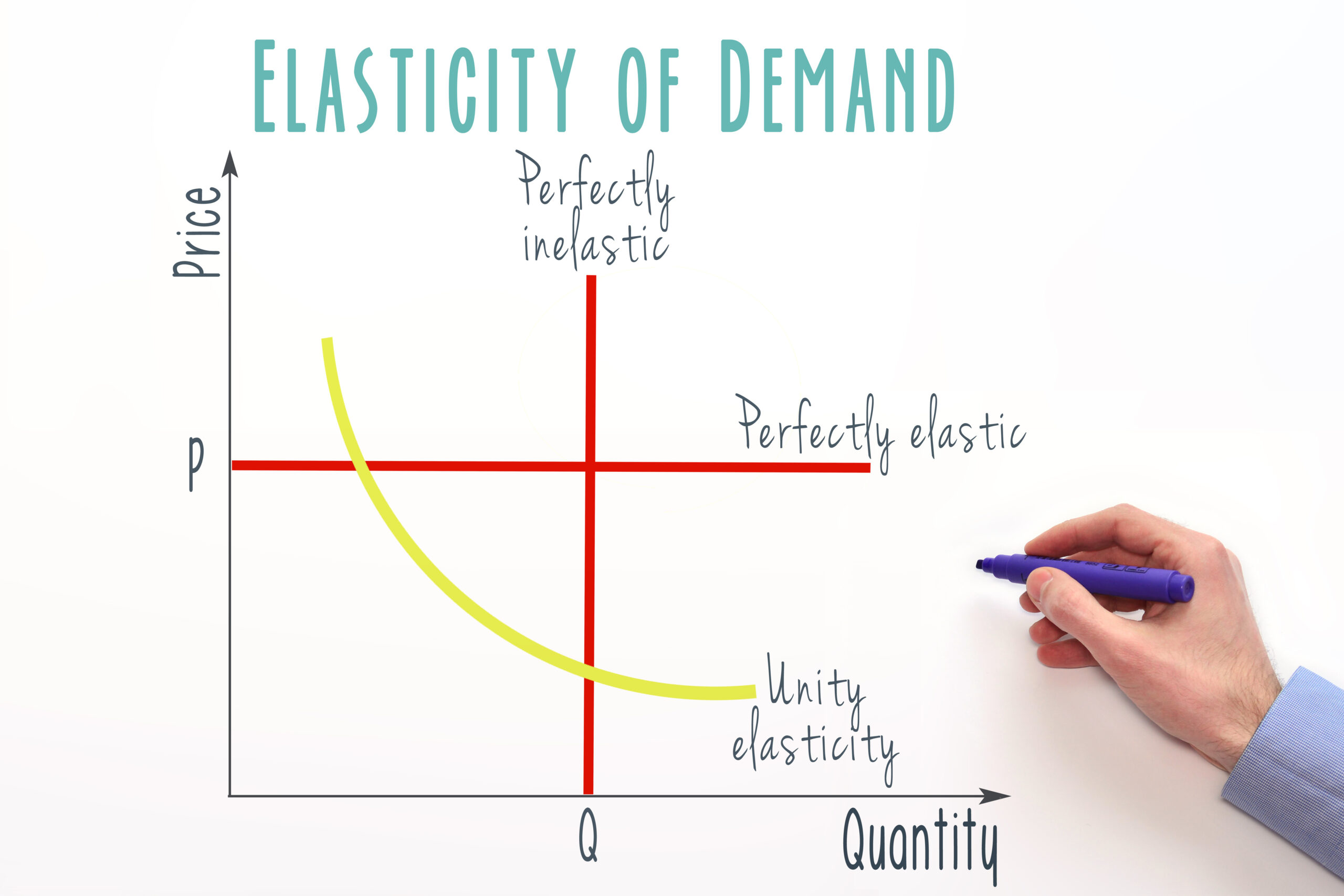 Read more about the article Price Elasticity of Demand: What it Means for Your Business