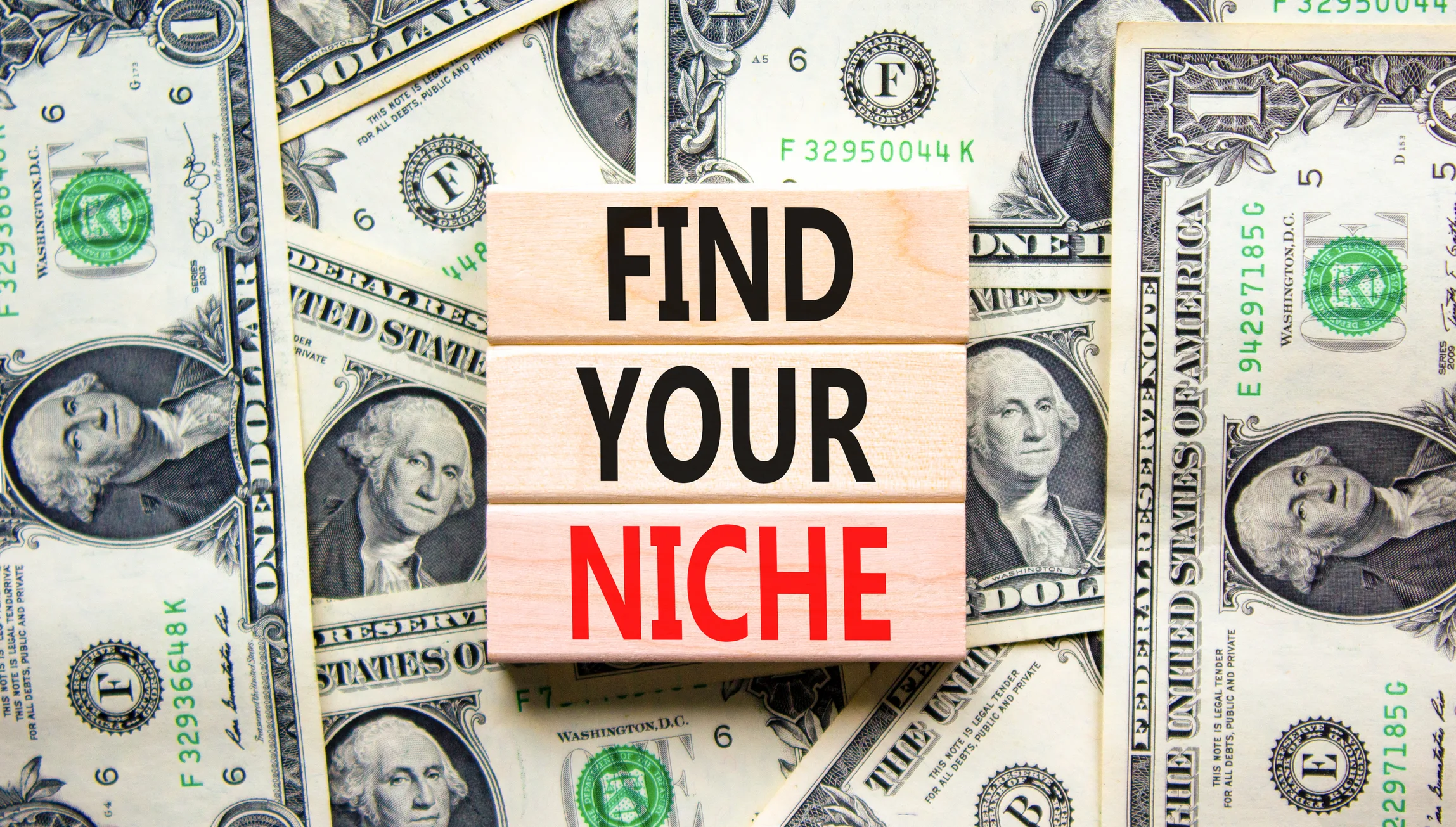 Read more about the article Discovering Profitable Niches: A Guide for Business Owners