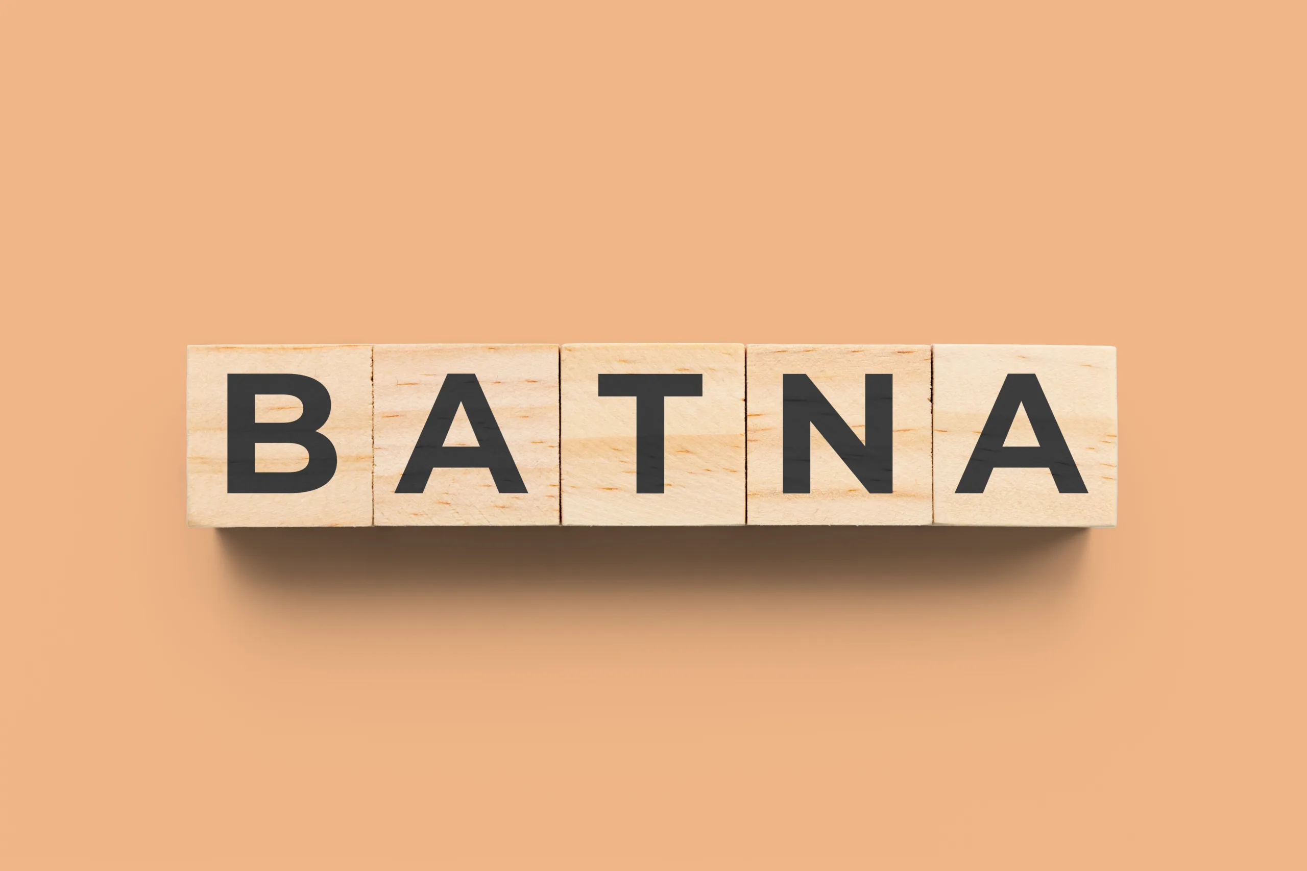 Read more about the article BATNA Explained: How to Strengthen Your Negotiation Skills