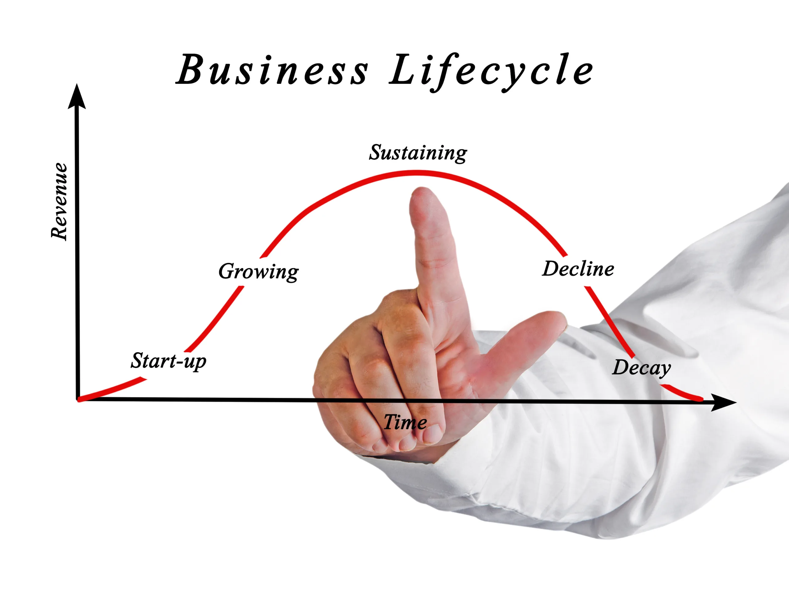 Read more about the article Managing the Business Lifecycle: A Guide for Business Owners